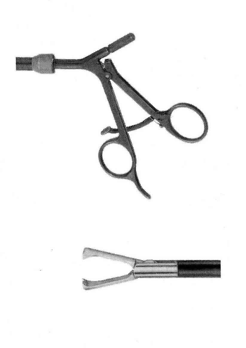 NELSON KAVRAMA FORSEPS ÇAP  5 MM